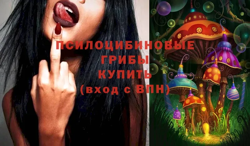 OMG как зайти  Коркино  Псилоцибиновые грибы мицелий  где купить наркоту 