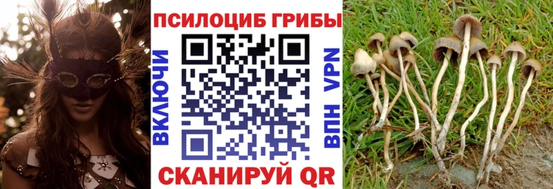 закладки  кракен как зайти  Псилоцибиновые грибы мухоморы  Коркино 