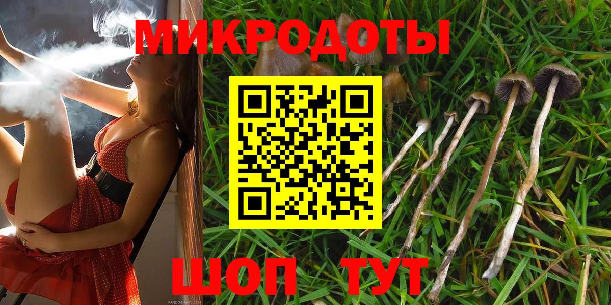 Псилоцибиновые грибы мухоморы Коркино